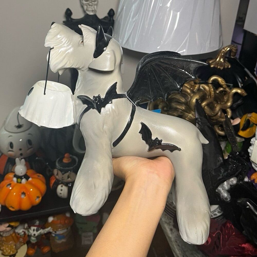 Humane Society Halloween Schnauzer in Bat Costume with Ghost Bucket Viral